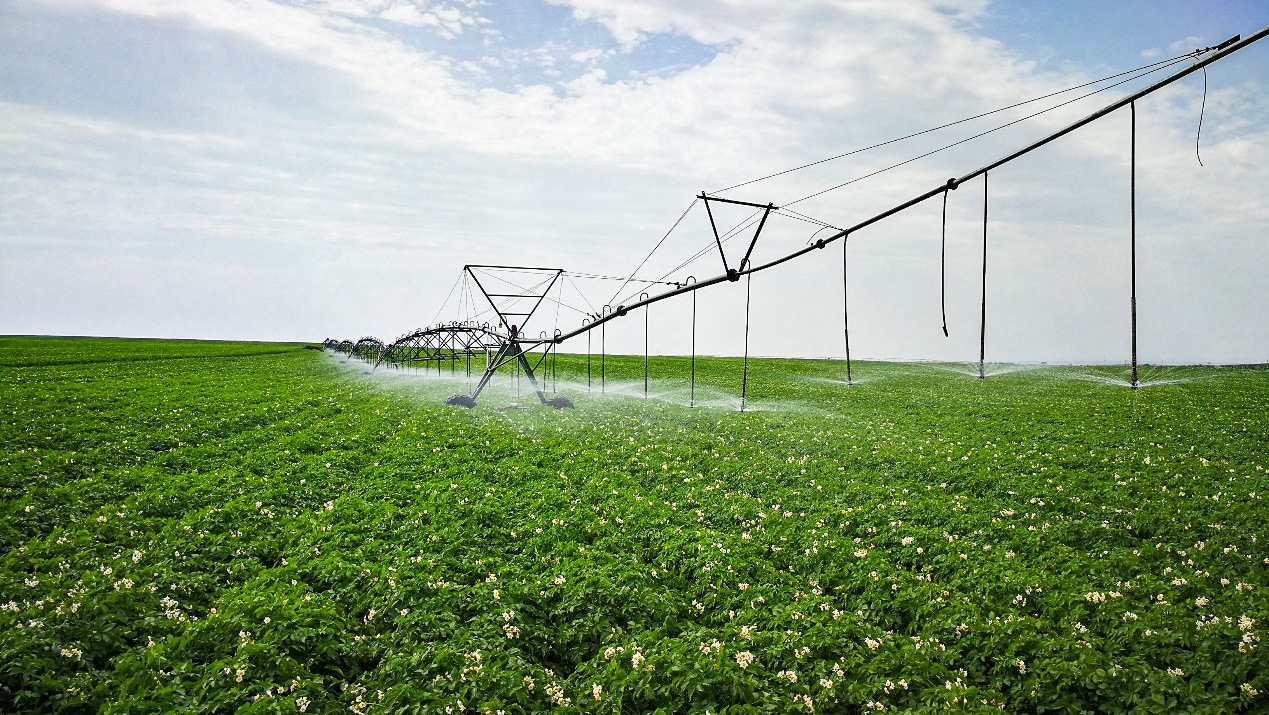 AG刮刮乐·(中国区)有限公司官网